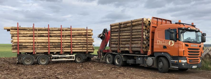 Odlesňujeme plochy pro stavby