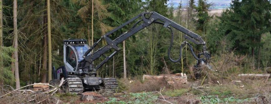 Provádíme těžbu dřeva